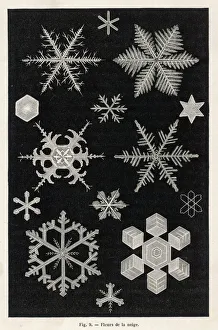 Winter Scenes Gallery: Weather / Snow