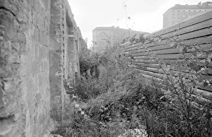 Capitalism Gallery: Weeds growing by the Berlin Wall, Berlin, Germany