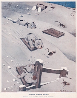 Bonzo Collection: This Weeks Studdy - Bonzos Winter Sport