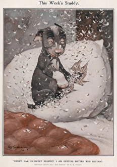 Ingram Gallery: This Weeks Studdy - (Pillow)