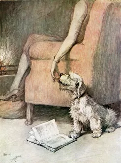 Terrier Collection: This Weeks Woggles! XV. - Affection by Cecil Aldin