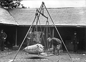 Ardara Collection: Weighing Wool in the Market House, Ardara