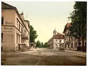 Hirsch Prints: Weisser Hirsch, Saxony, Germany