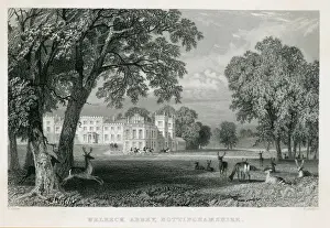 Welbeck Abbey