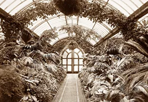 Welbeck Abbey Palm House