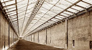 Gallop Prints: Welbeck Abbey Tan Gallop