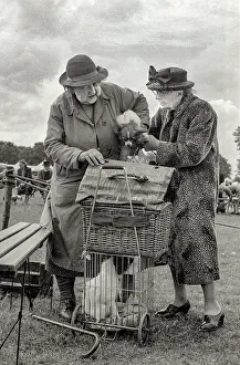 Handling Prints: Well-dressed elderly pair of women gently handling their dogs into hamper or cage at a dog show in northern England