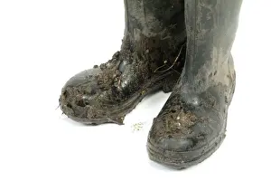 Wellington boots