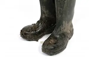 Wellington boots