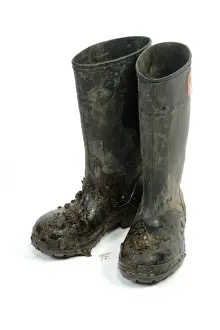 Wellington boots