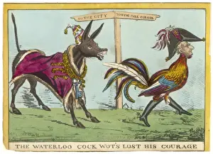 Wellington Cartoon