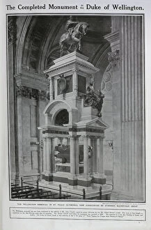 Stevens Collection: Wellington monument