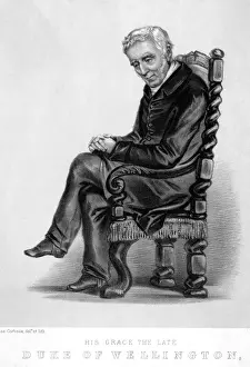 Wellesley Prints: Wellington Old Man