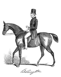 WELLINGTON RIDING