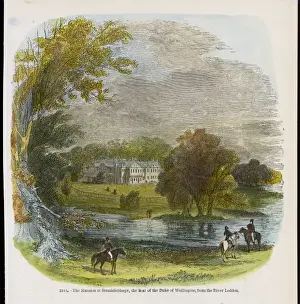 Wellington / Strathfieldsy
