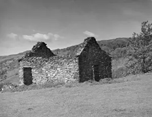 Welsh Cottage Ruins
