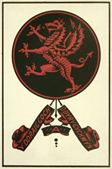 Images Dated 9th June 2011: Welsh Dragon Device