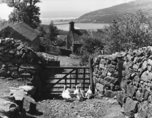 Welsh Farmstead