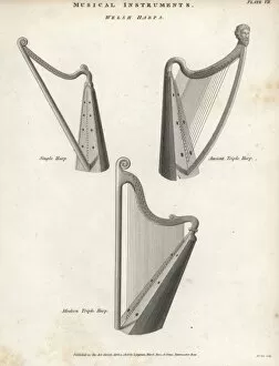 Instrument Collection: Welsh harps