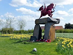 Daffodils Gallery: Welsh National Memorial Dragon, Hagebos - Iron Cross
