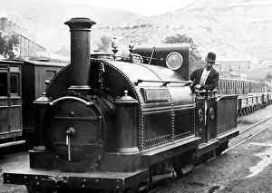 Welsh Pony, Ffestiniog Railway, Wales, Victorian period