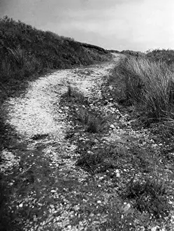 Welsh Trackway