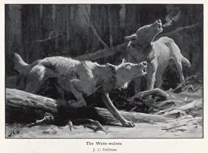 Howl Prints: Two Werewolves