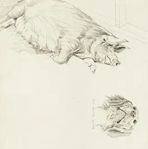 Setter Prints: Wesses Saddleback sow and Blue Belton Setter
