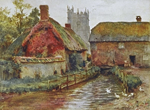 Images Dated 25th May 2012: Wessex / Affpuddle 1906
