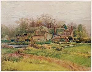 Wessex/Bindon Abbey Mill