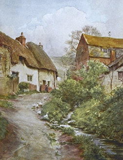 Images Dated 25th May 2012: Wessex / Sutton Poyntz