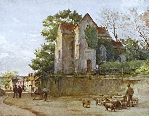 Images Dated 25th May 2012: Wessex / Wareham / Anglebury