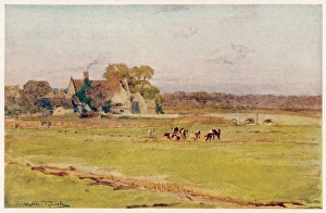 Wessex/Wool Manor House