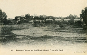 Abziza Gallery: West side of Abziza Farm, Beni-Mered