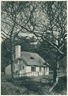 Towns Collection: West Chiltington Thatch Cottage