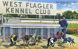 Attendants Prints: West Flagler Kennel Club, Miami, Florida, USA