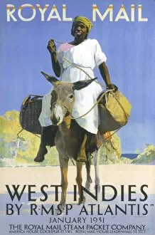 Donkey Collection: West Indies by Royal Mail Steam Packet Company poster