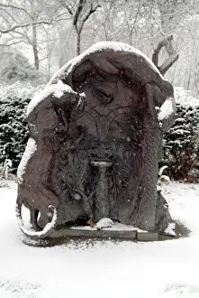 Snowfall Prints: The west lawn ornament in winter