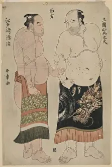The west side: Mikuniyama HeidayUand Edosaki Genji