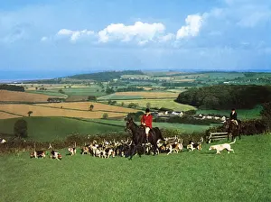 West Somerset Foxhounds