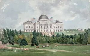 West front of the United States Capitol with cows in the for West front of the United States Capitol with cows in the for