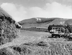 Defeat Gallery: Westbury White Horse