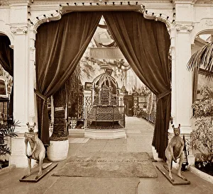 Western Australia Court, Franco British White