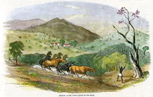 Western Australia - Culham - Upper Valley of The Swan