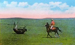 Images Dated 8th August 2017: Western Canada - Cowboy roping a steer