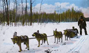 Husky Prints: Western Canada - Indian Husky Dog Team