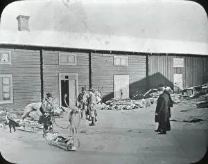 Western Norway - (Laplander) Reindeer & sleigh