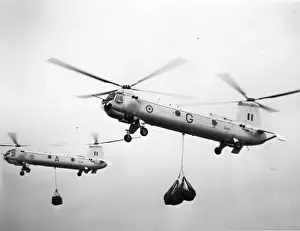 Westland Belvederes XG459 and XG461