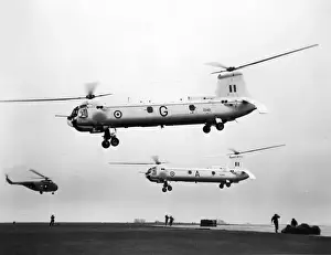 Westland Belvederes XG459 and XG461