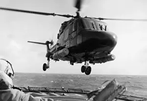 Westland Lynx